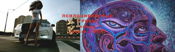 герыч Верхний Тагил