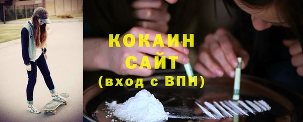 прущие грибы Волоколамск