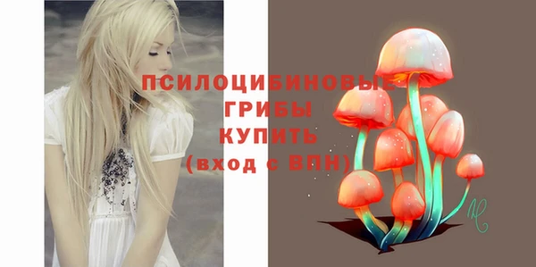 прущие грибы Волоколамск