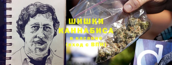 прущие грибы Волоколамск
