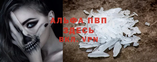 прущие грибы Волоколамск