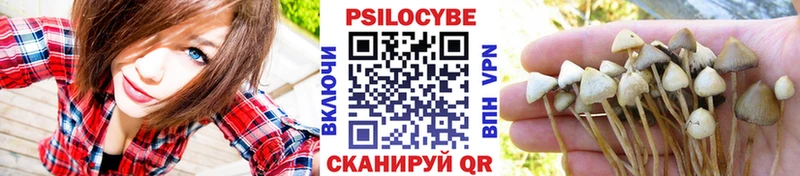 хочу   Воткинск  Псилоцибиновые грибы мухоморы 